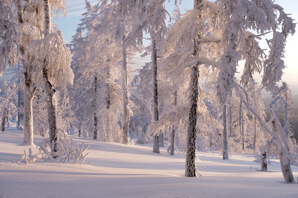 Photograph by Ирина Толокновская