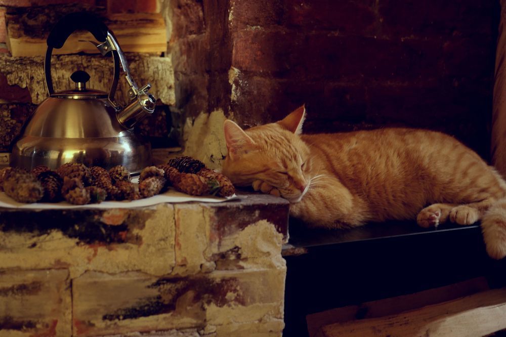 Photograph by Александр Пинаев