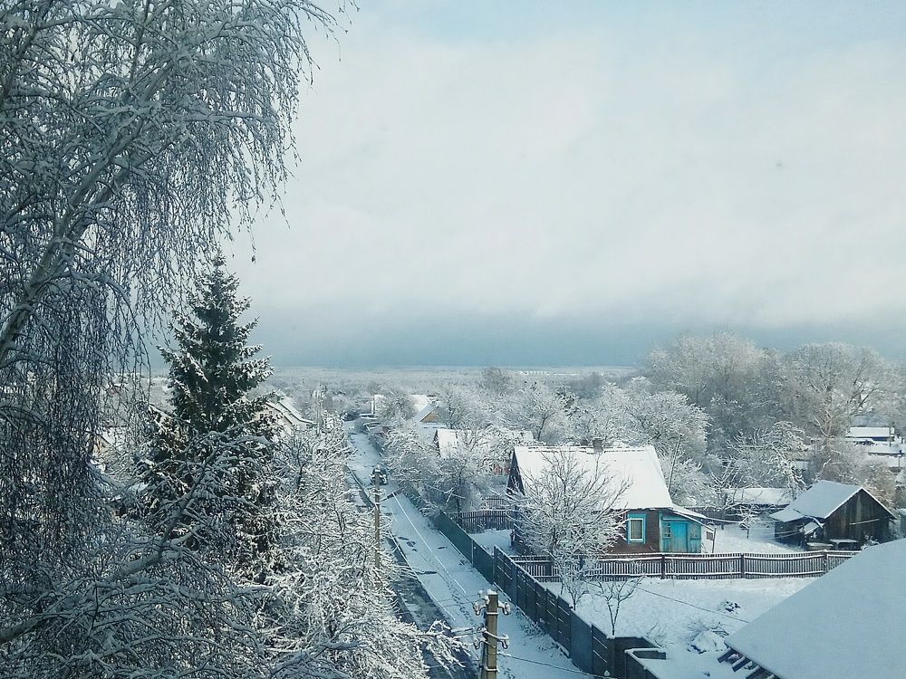 Photograph by Марина Радионова