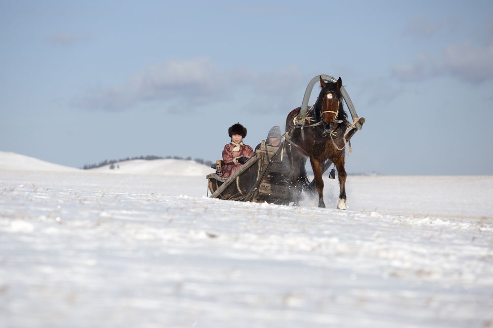 Фотография автора Светлана Барнадаева