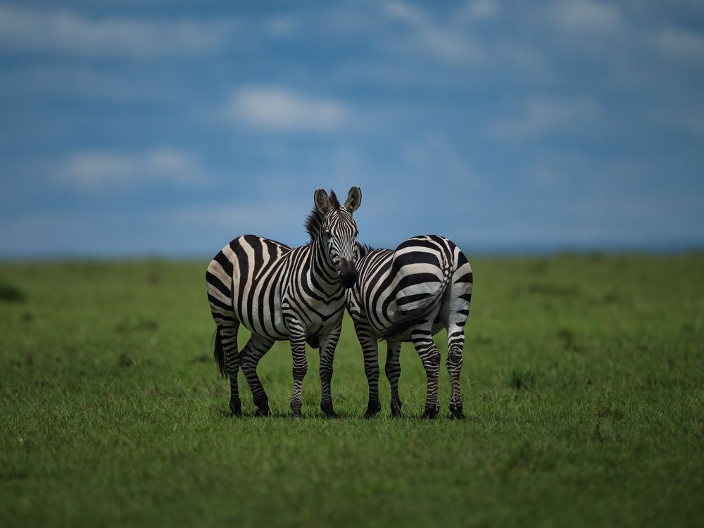 Фотография автора Anand Kumar