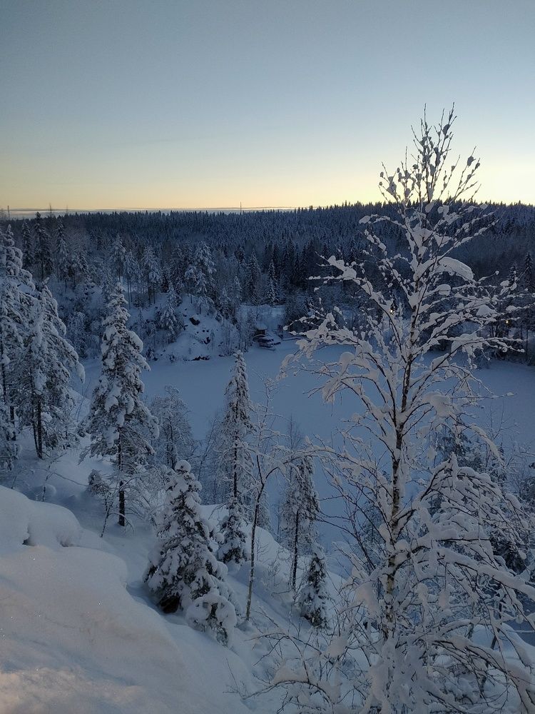 Photo #10085710