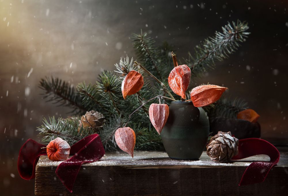 Photograph by Ирина Толокновская