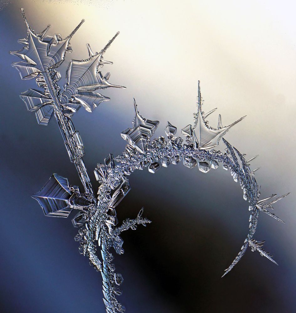 Photograph by Наталья Соколова