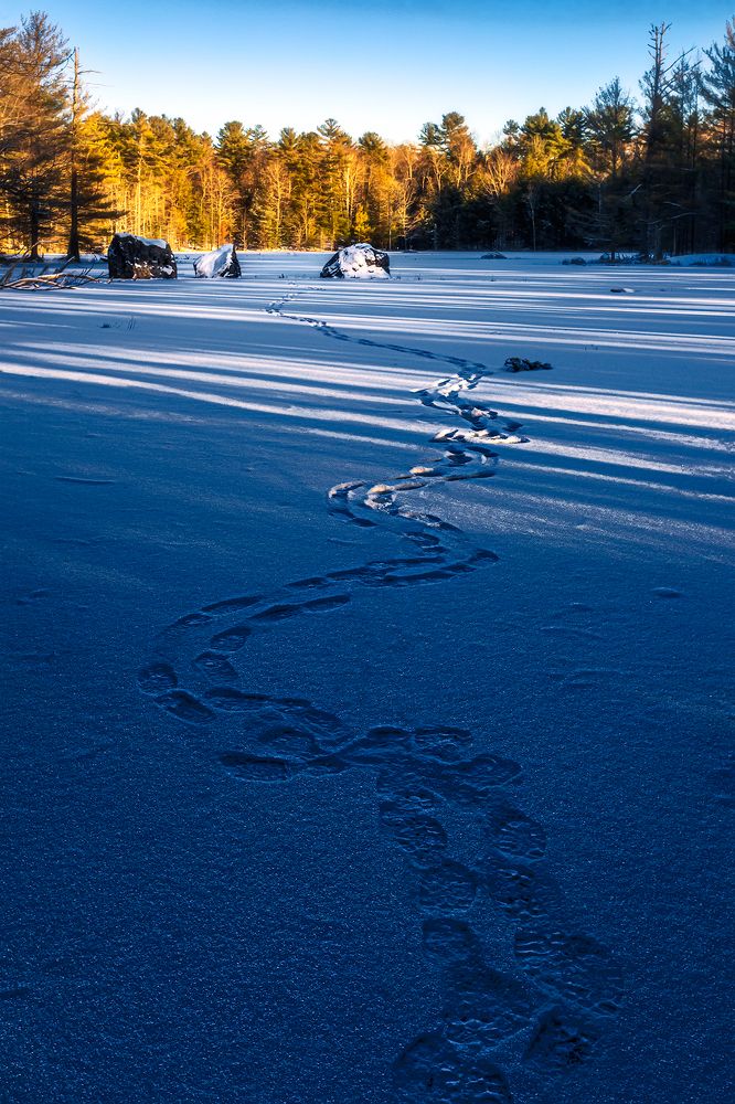 Photograph by Zhenhuan Zhou