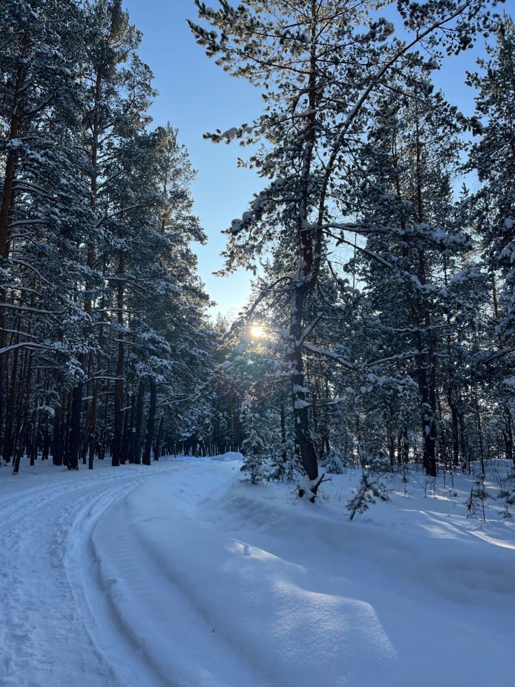 Фотография автора Галина Спирина