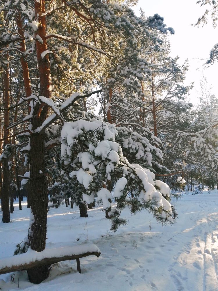 Фотография автора Галина Спирина