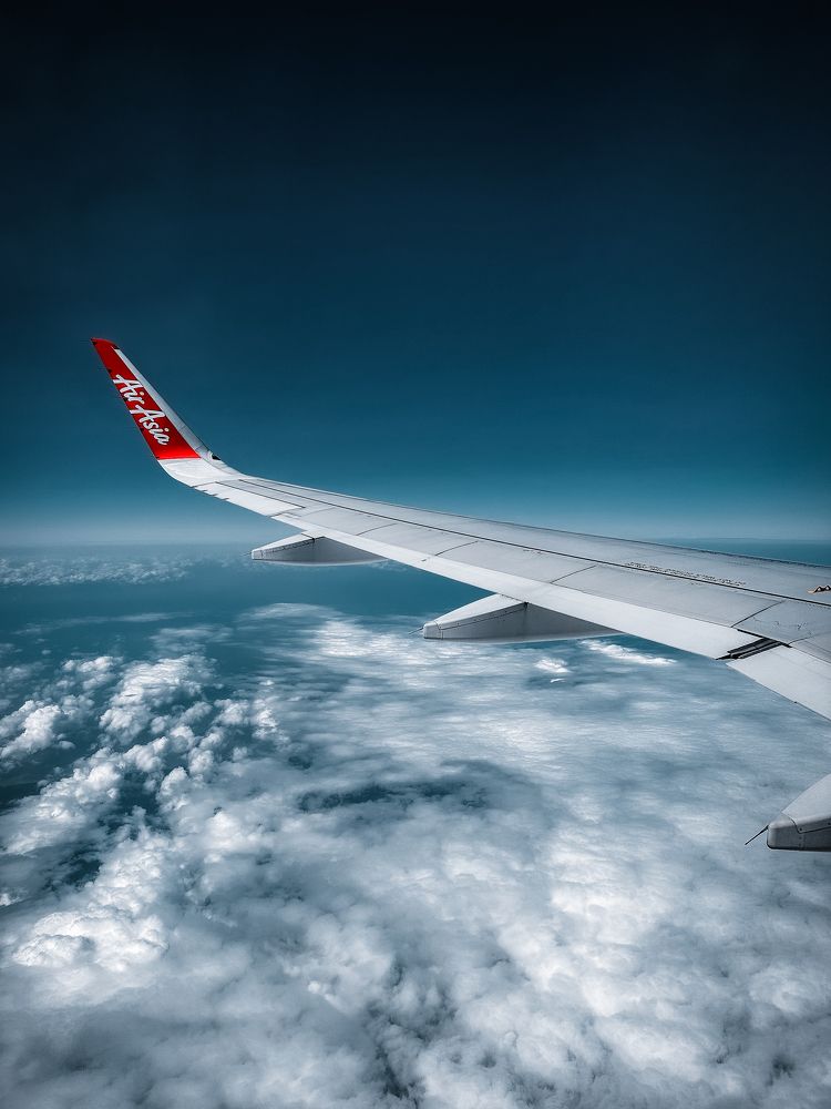 Flying high in the blue sky