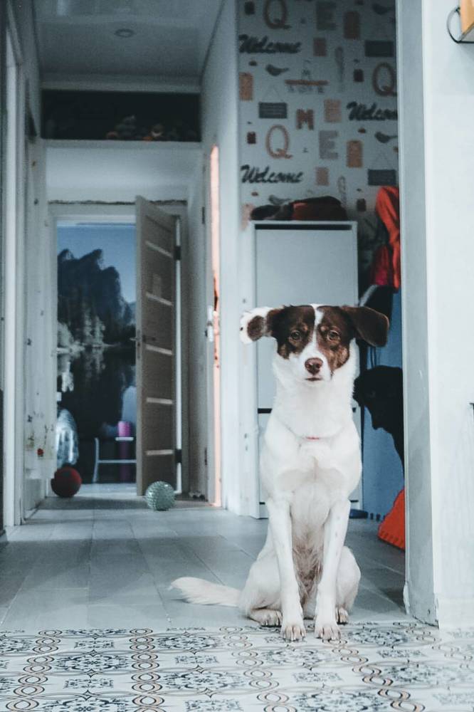 Photograph by Марианна Чайка