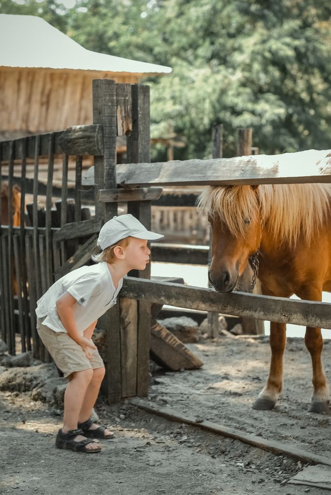 Photograph by Наталья Гришаева