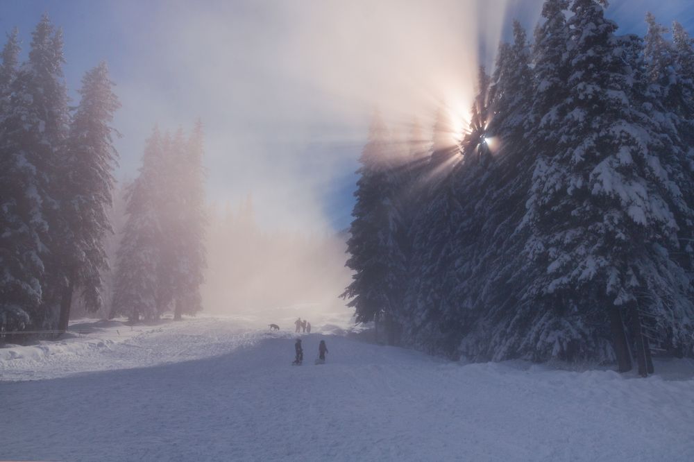 Photograph by Vania Tonova