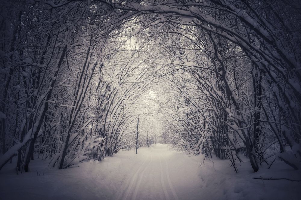 Photograph by Кира Бахвалова