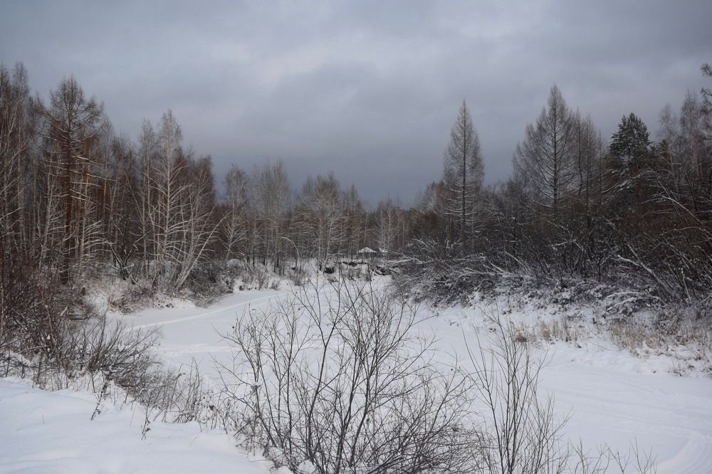 Photograph by Анна Киселева