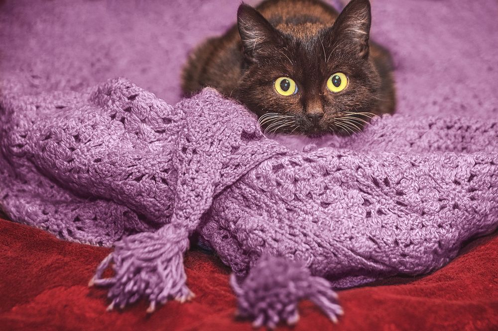 Photograph by Татьяна Нестеренко