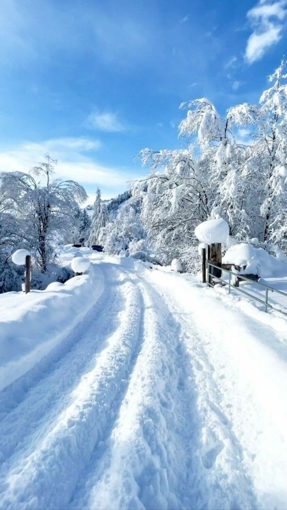 Photograph by Марианна Чайка