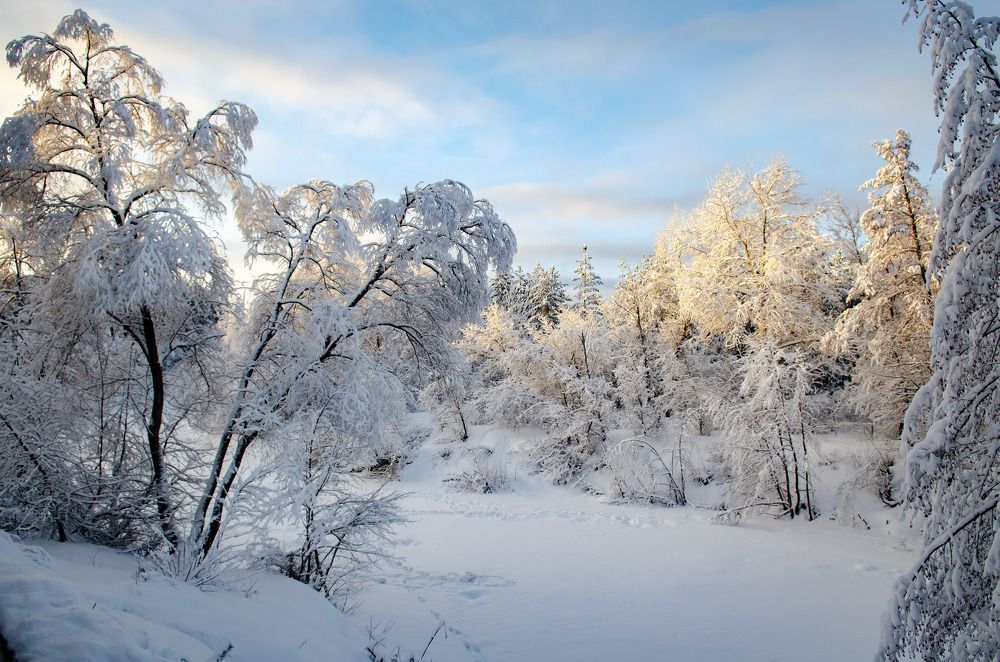 Photograph by Сергей Горбунов