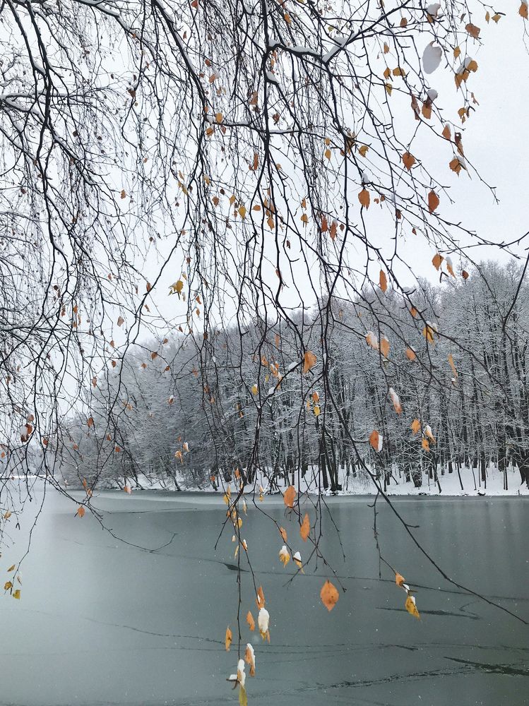 Фотография автора Лариса Гришкевич