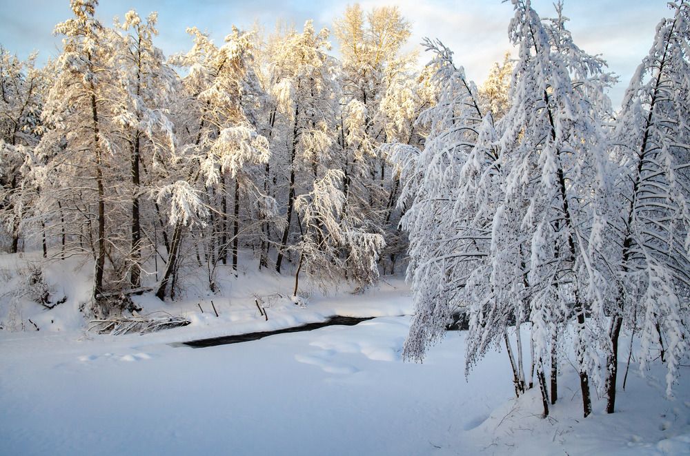 Photograph by Сергей Горбунов