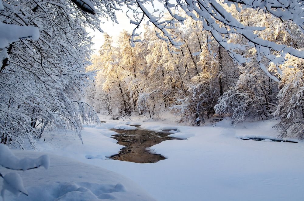Photograph by Сергей Горбунов