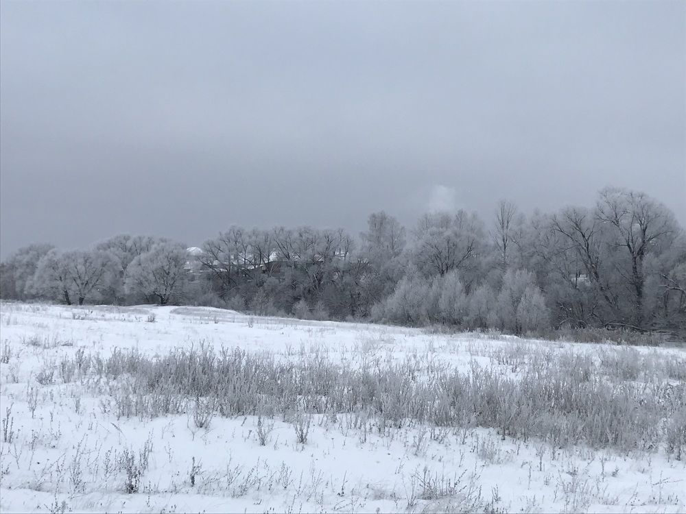 Photograph by Елена Гущина