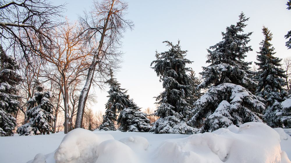 Photograph by Максимов Алексей