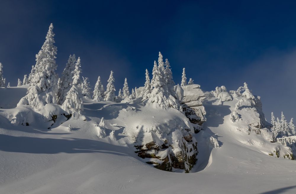 Фотография автора Анастасия Тараканова