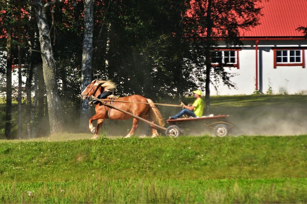Фотография автора Linards Onzuls