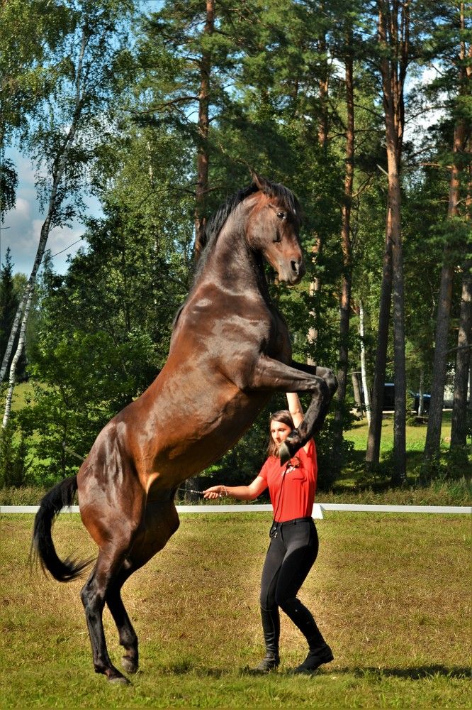 Фотография автора Linards Onzuls