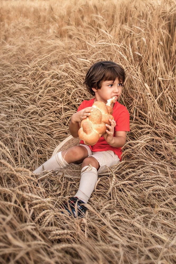 Photograph by Татьяна Гринченко