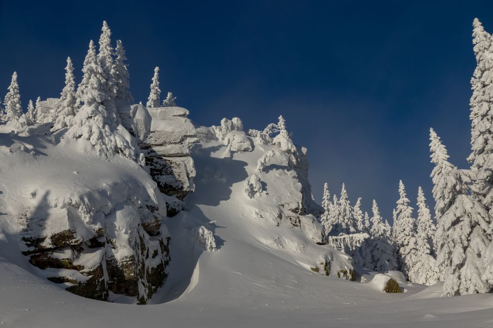 Фотография автора Анастасия Тараканова
