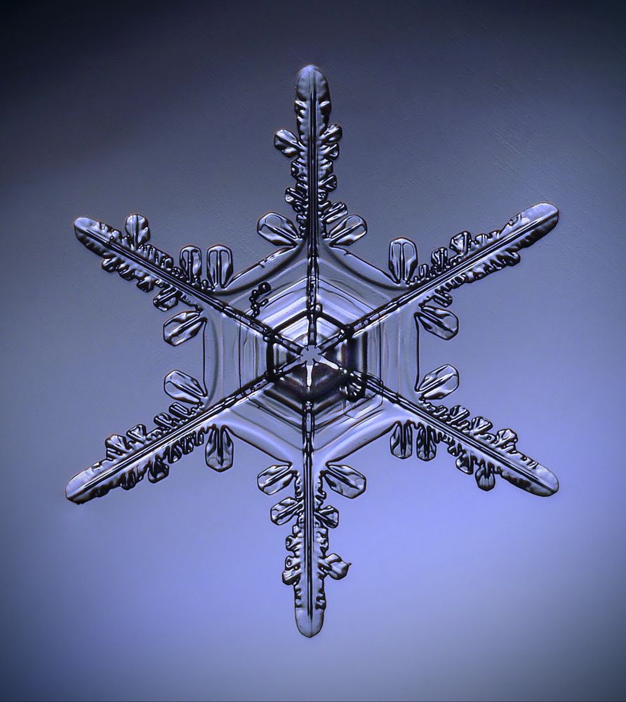 Снежинка 2024