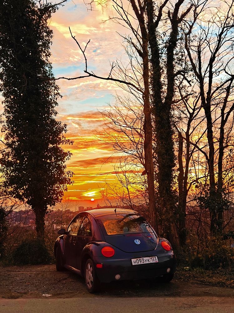 Photograph by Завальнюк Антонина