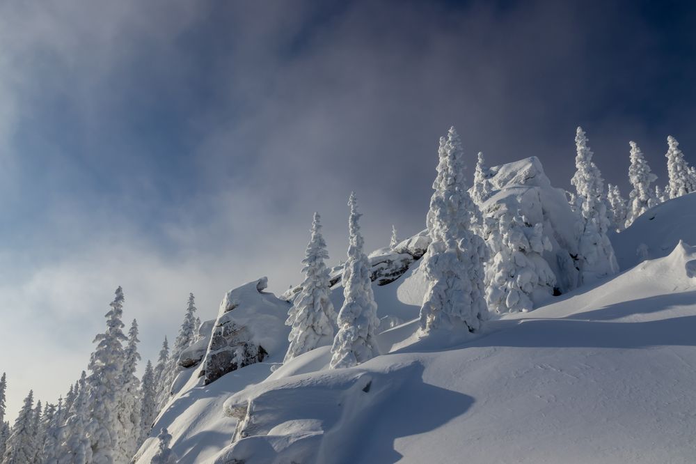 Фотография автора Анастасия Тараканова