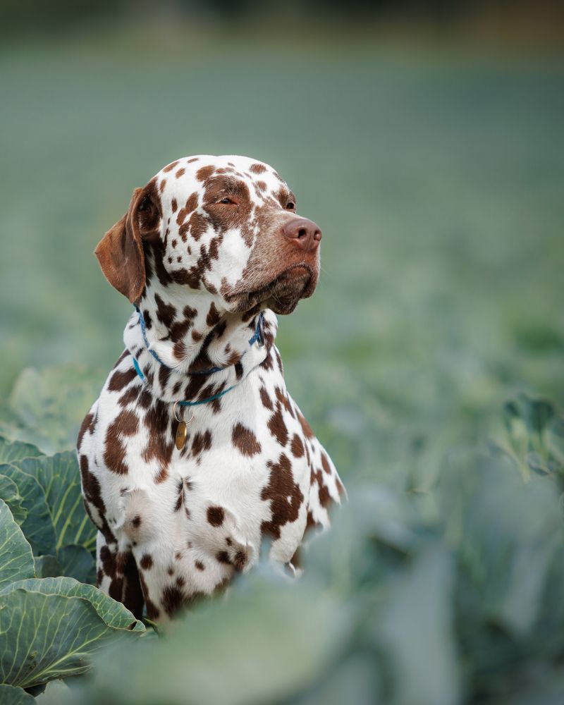 Photograph by Яна Нарбутович