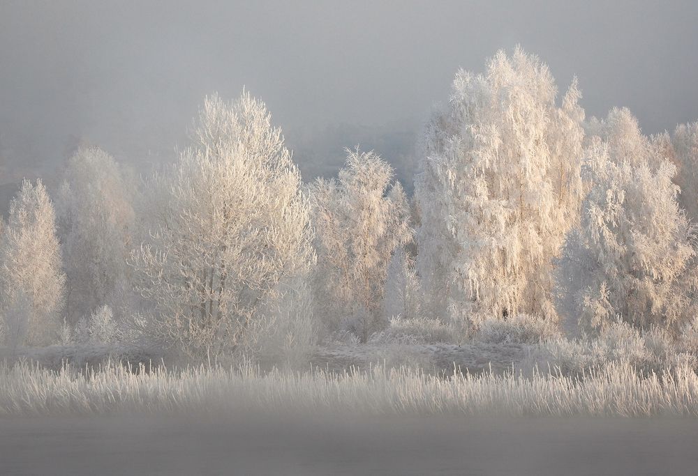 Photograph by Александр Попов