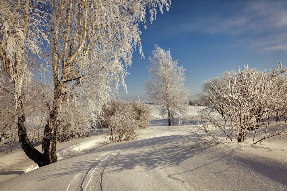Photograph by Алексей Хахлов
