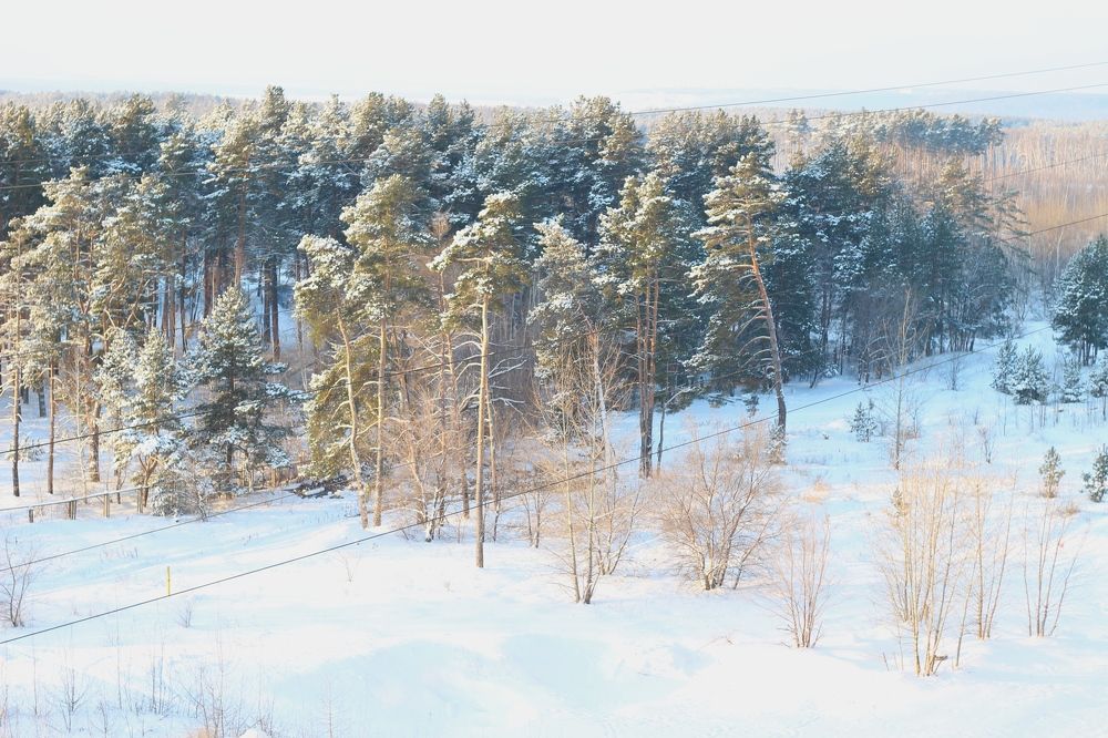 Photograph by АЛЛА ТАРАСЕНКО