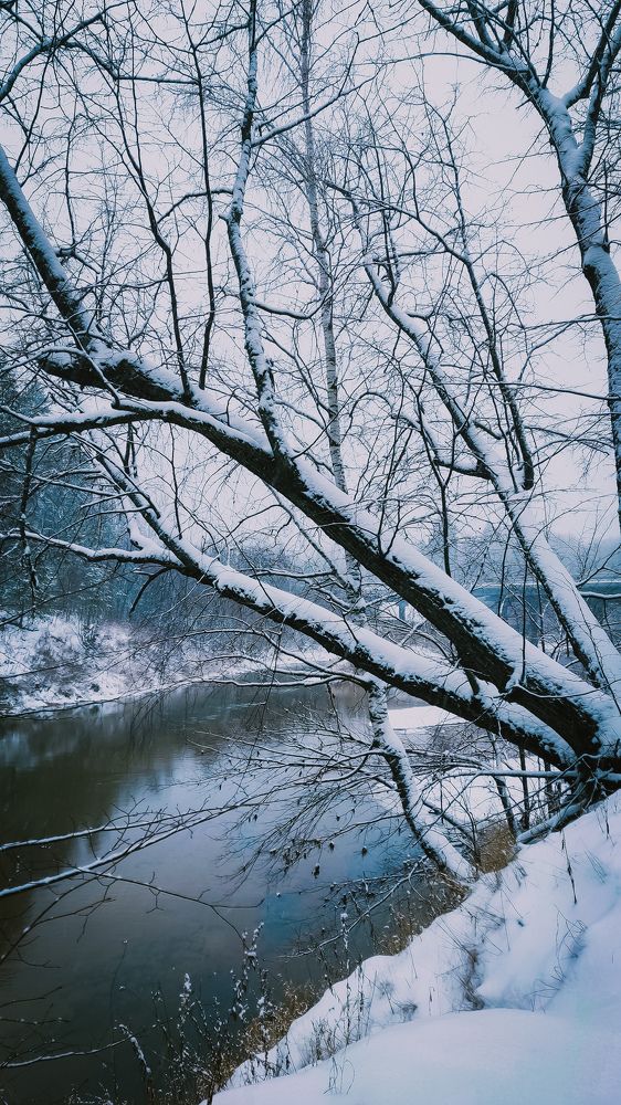 Photograph by Ирина Шестакова