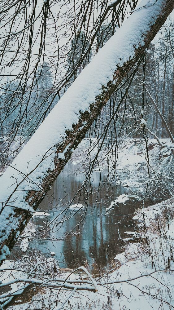 Photograph by Ирина Шестакова