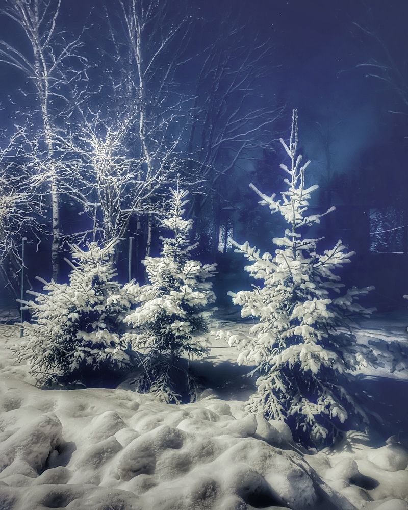 Photograph by Iuliia Akhulkova