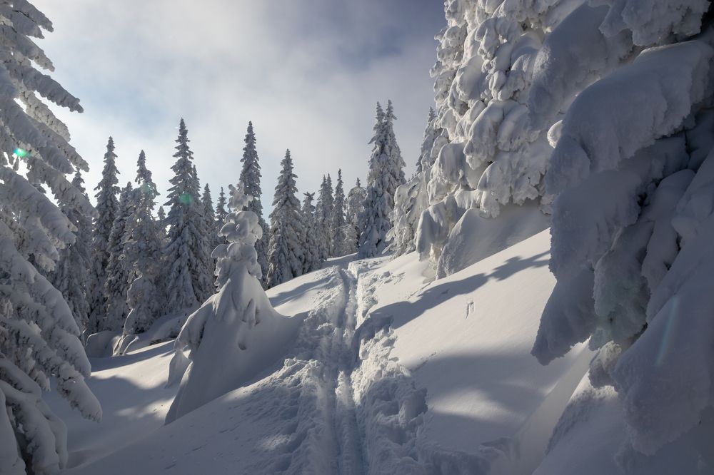 Фотография автора Анастасия Тараканова