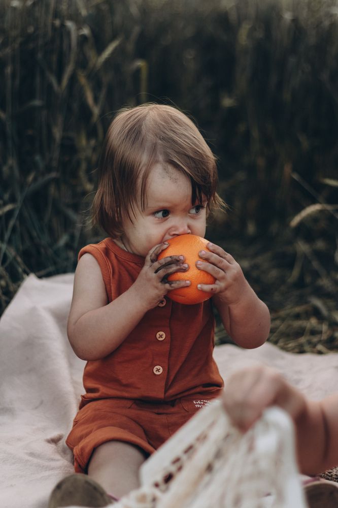 Семечки под солнышком