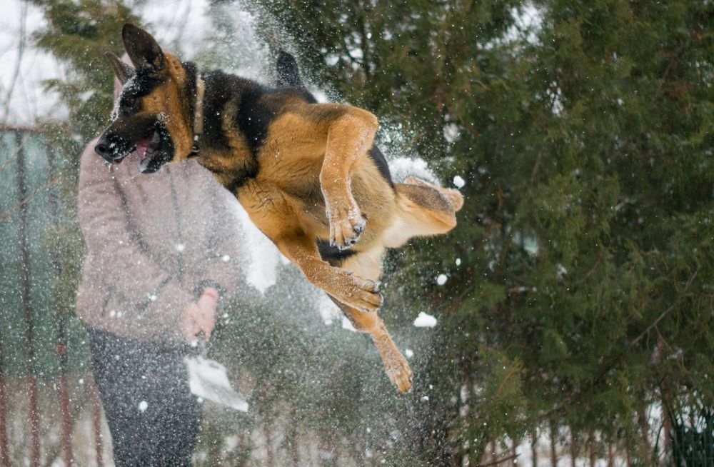 Photograph by Олег Алексеев