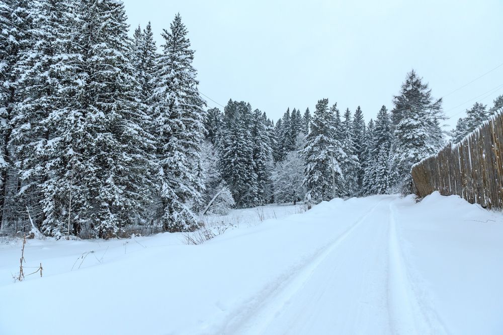 Photograph by Татьяна Шарлап