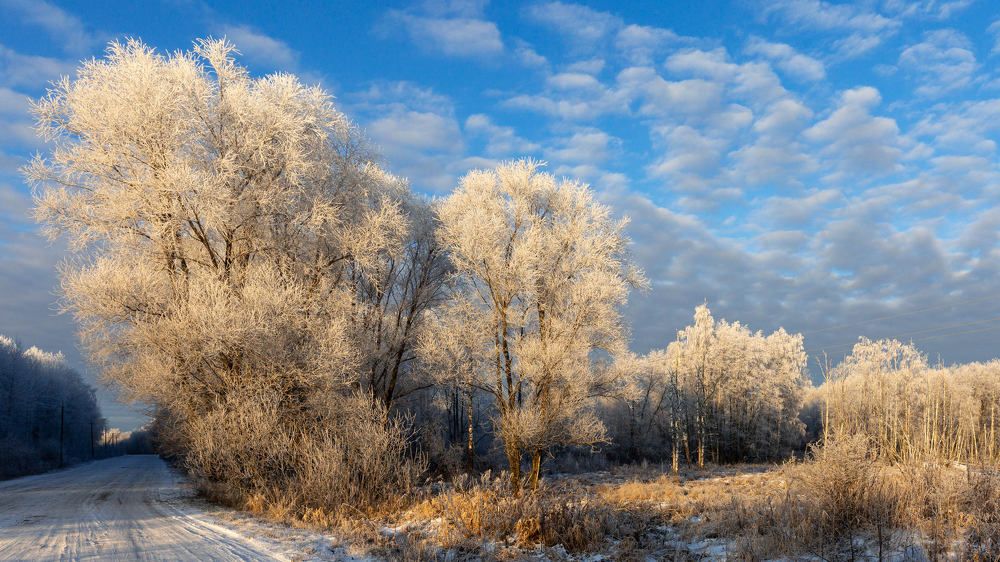 ЗИМНЯЯ СКАЗКА