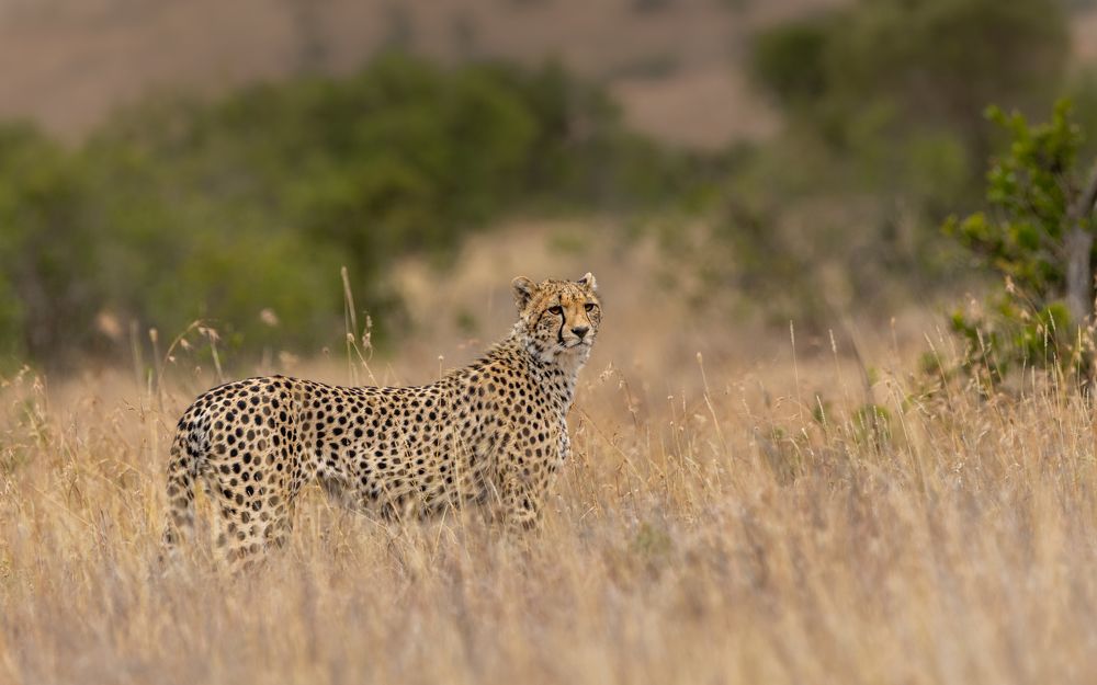 Photograph by Ricardo Ferreira