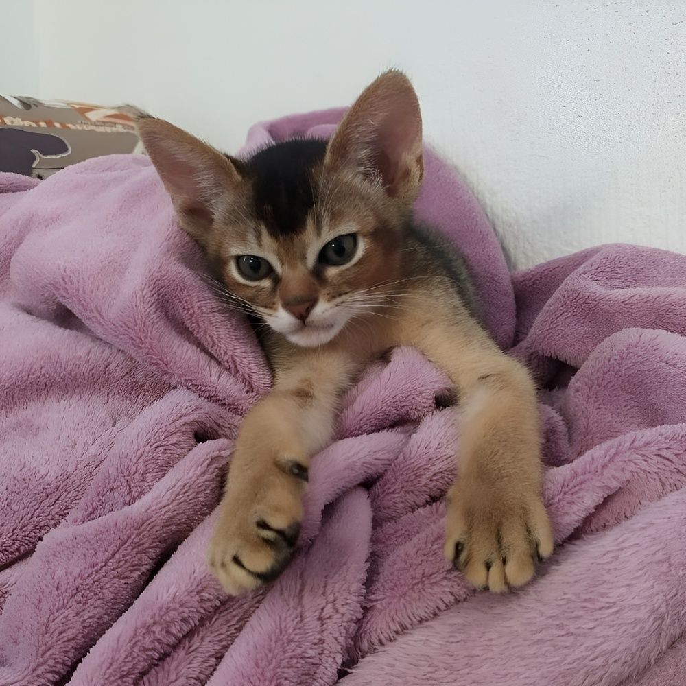 Photograph by Елена Сухорученкова