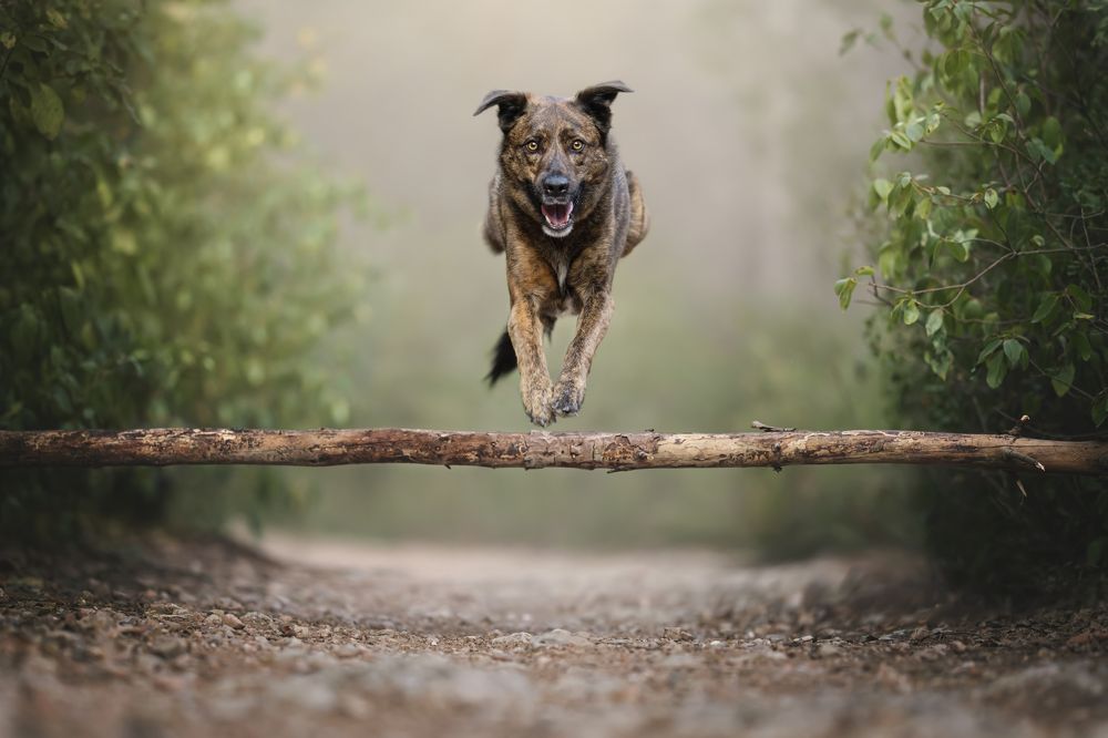 Фотография автора Rut Casanellas