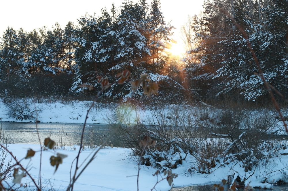 Photograph by Ирина Кононова