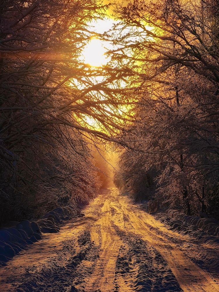 Photograph by Александр Державин